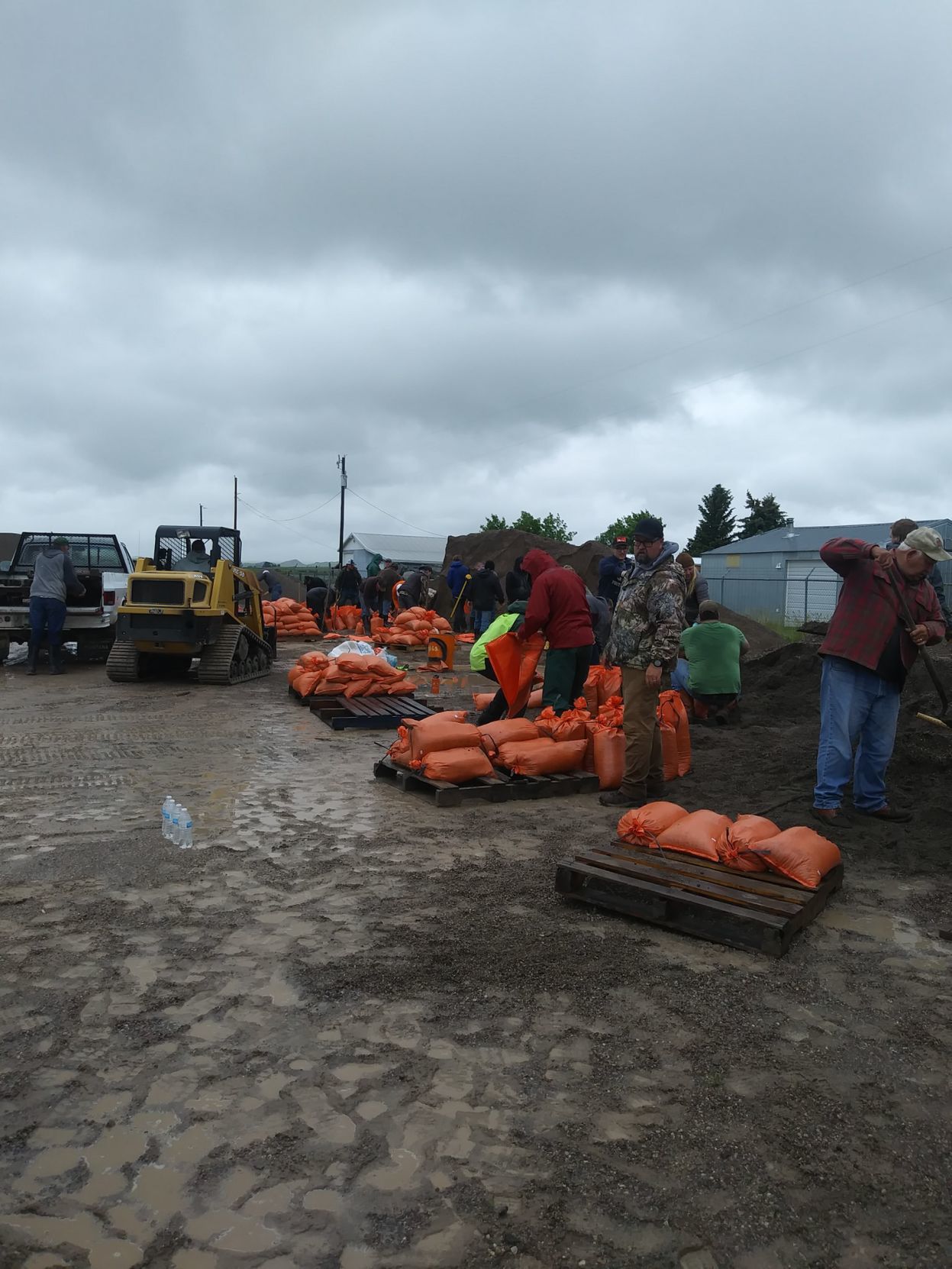 Augusta Sandbagging
